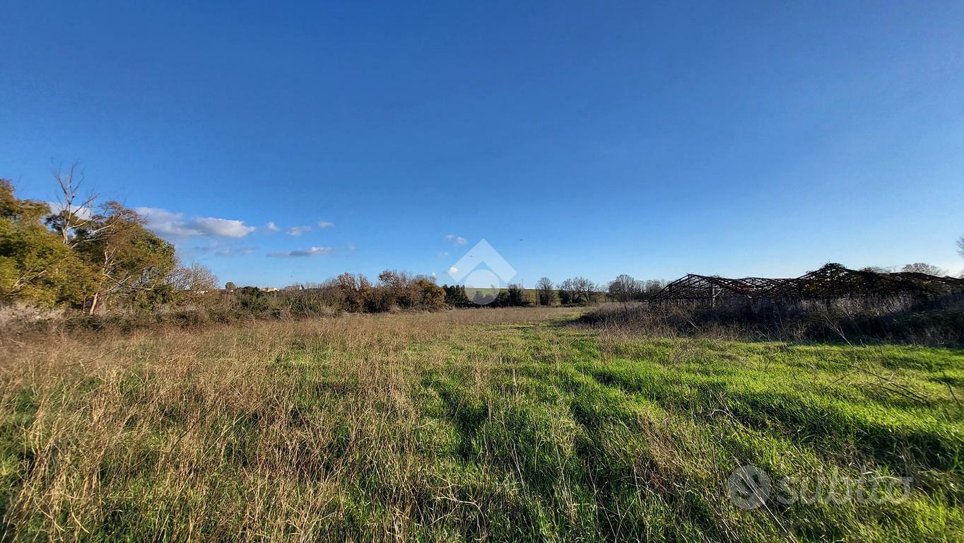 TERRENO A ARDEA - Vista 6