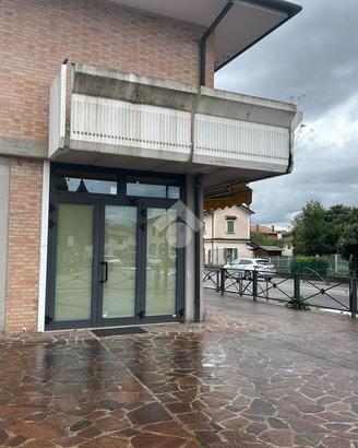 NEGOZIO A PEDEROBBA