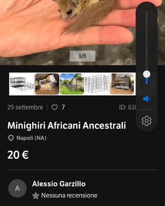 Mini ghiro