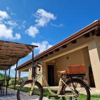 2 biciclette elettriche pedalata assistita