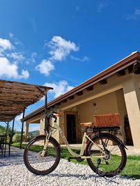 2 biciclette elettriche pedalata assistita