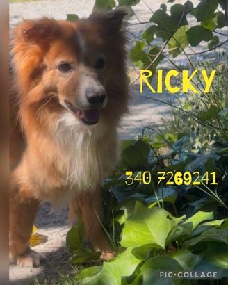 Ricky taglia piccola