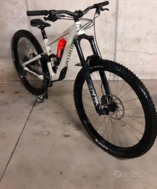 Specialized enduro