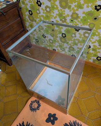 Mobile porta-vasi da interno in vetro e radica