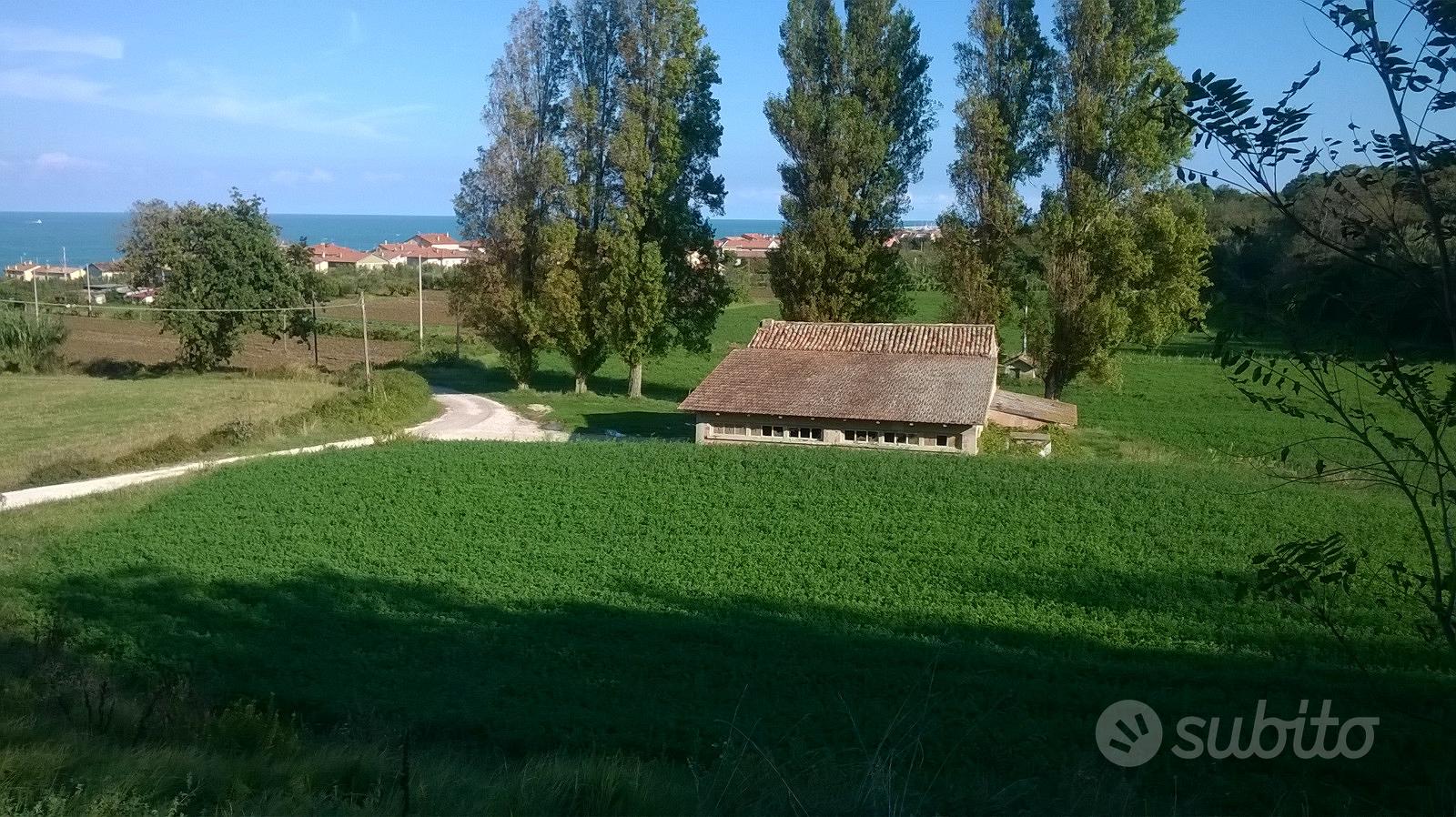 Terreno agricolo - Vista 4