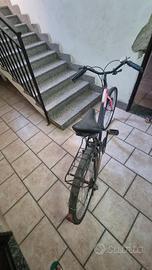 Bicicletta