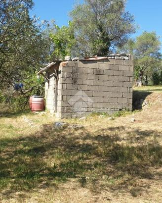 TER. AGRICOLO A VEROLI