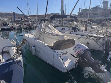 Italmar 19 plus