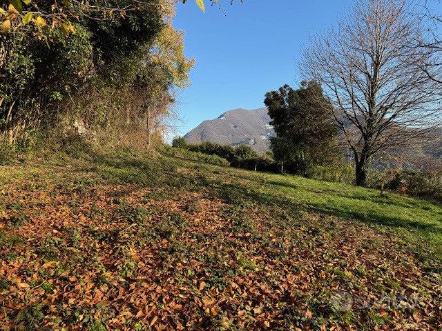 Terreno Agricolo Nembro [Cod. rif 3282803VCG] - Vista 2