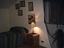 Immagine 6