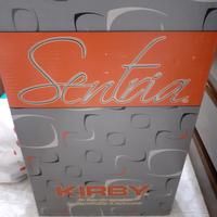 aspirapolvere kirby professionale 