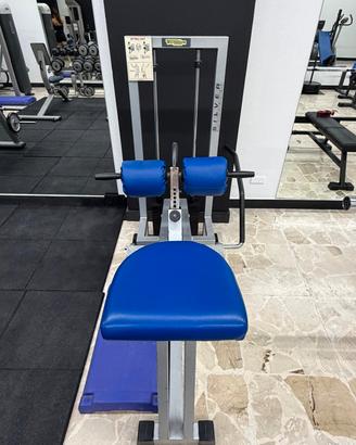 Calf machine Technogym silver 