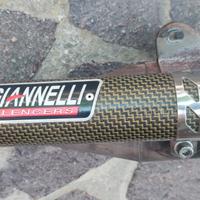 Giannelli reverse