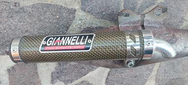Giannelli reverse