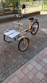 Bicicletta cargo