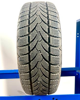 Platin 195/60 R15 88T M+S invernali