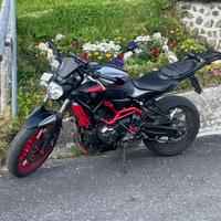Yamaha Mt 07 moto cage a2