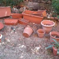 Tutto per il giardino 1/3