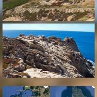 Terreno 4,5 ha sul mare all'Isola del Giglio