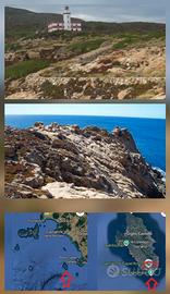 Terreno 4,5 ha sul mare all'Isola del Giglio