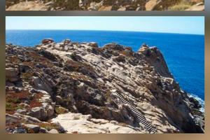 Terreno 4,5 ha sul mare all'Isola del Giglio