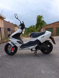 Benelli 491