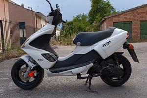 Benelli 491
