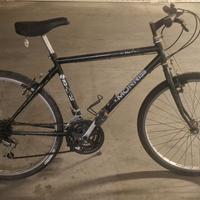 Bicicletta T. Morris ruote 26