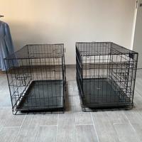 Kennel taglia media