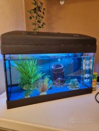 Acquario 30 litri completo di accessori