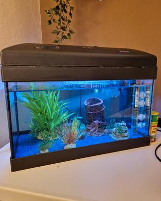 Acquario 30 litri completo di accessori