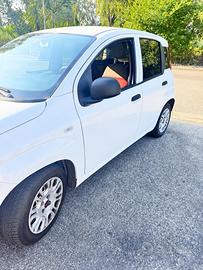 Panda Van 2 Posti Autocarro