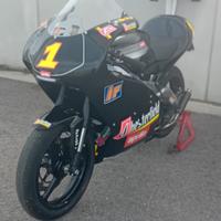 Aprilia RS 125 REPLICA MAX BIAGGI PEZZO UNICO