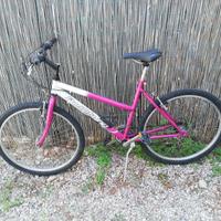 mountain bike per ragazzi