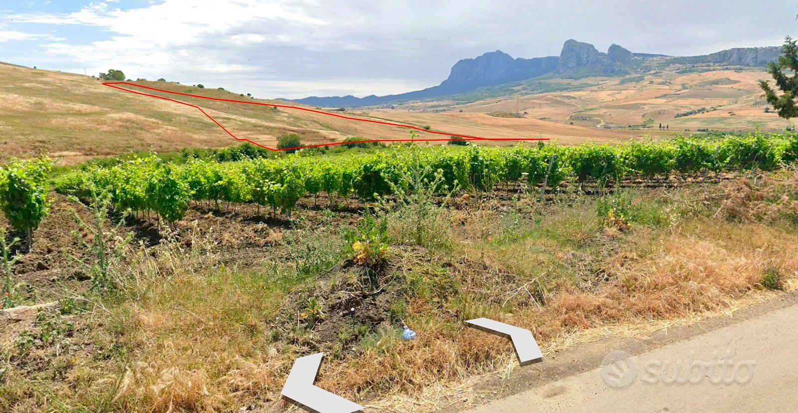 TERRENO AGRICOLO FICUZZA-CORLEONE - Vista 4