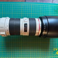 Canon EF 70-200mm f/4L USM