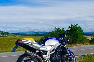 Triumph Daytona 955i - 2000