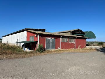Azienda Agricola 30ha unico corpo