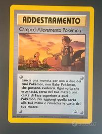 Campi di allevamento pokemon mazzo Neo Discovery