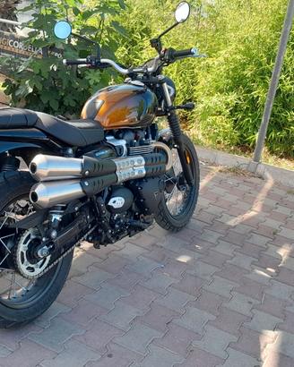 Triumph Scrambler 900 SCRAMBLER 900 CHROME EDITION