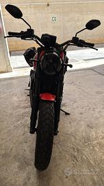 Ducati Scrambler - 2023