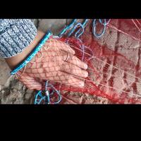 rezzaglio jaccp 14mt