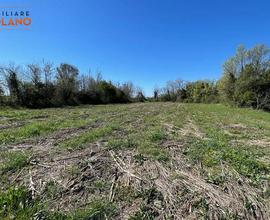 Terreno Agricolo - San Canzian d'Isonzo