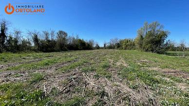 Terreno Agricolo - San Canzian d'Isonzo