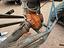 Immagine 15
