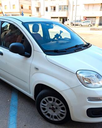 PANDA 1200 DEL 2016
