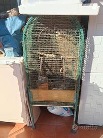 gabbia per uccelli 