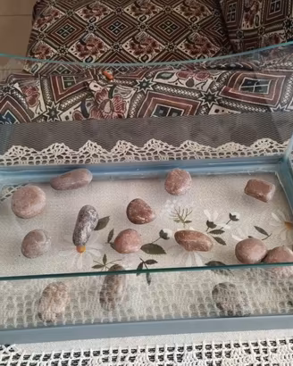 Acquario in vetro robusto cm. 42x24. NUOVO.