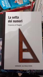 Libro "La setta dei numeri" il teorema di pitagora