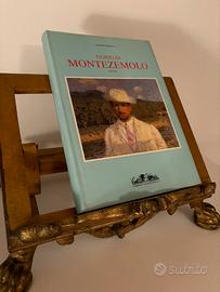 Libro Pittura Guido Montezemolo Allemandi Panzetta